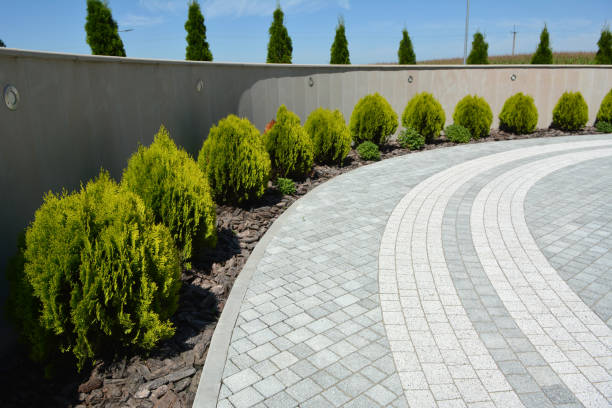 Best Luxury Driveway Paving Solutions in Henderson, TX